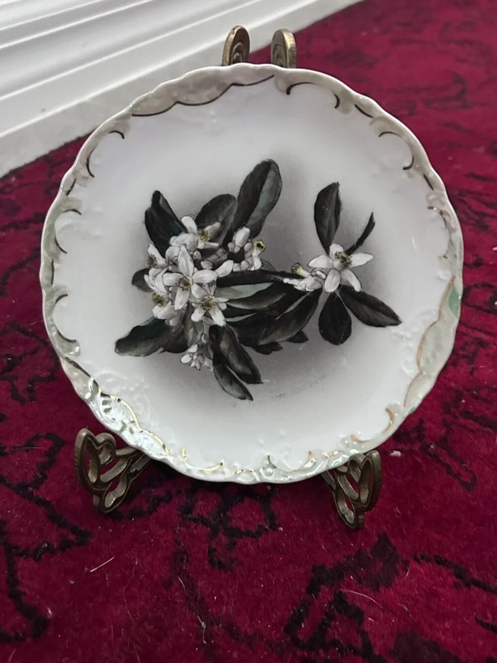 Antique B.B. & F Vienna Austria Floral Porcelain 6